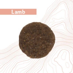 Antelope Fresh Adult Hundefutter -Hochwertiges Geschäft Für Heimtierbedarf antelope fresh adult hondenvoer 219963 0500 none