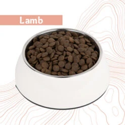 Antelope Fresh Adult Hundefutter -Hochwertiges Geschäft Für Heimtierbedarf antelope fresh adult hondenvoer 219964 0500 none