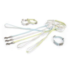 Beeztees Halsband & Leine