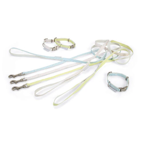 Beeztees Halsband & Leine 1 Beeztees Halsband & Leine