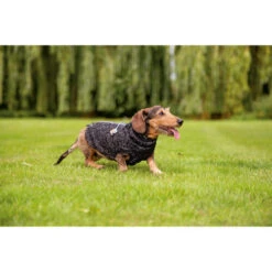 Beeztees Hundepullover Celia -Hochwertiges Geschäft Für Heimtierbedarf beeztees hondentrui celia 219140 0500 none