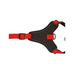 Beeztees Parinca Premium Y-Geschirr 10 Beeztees Parinca Premium Y-Geschirr -Hochwertiges Geschäft Für Heimtierbedarf beeztees parinca premium y tuig 199589 0500 none