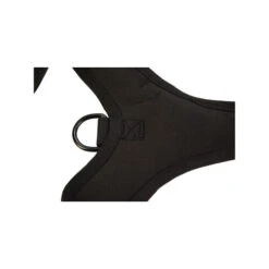 Beeztees Parinca Premium Y-Geschirr 14 Beeztees Parinca Premium Y-Geschirr -Hochwertiges Geschäft Für Heimtierbedarf beeztees parinca premium y tuig 199592 0500 none