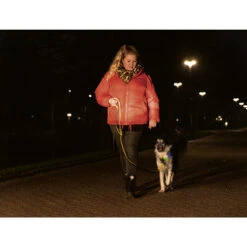 Beeztees Safety Gear Parinca Premium Halsband -Hochwertiges Geschäft Für Heimtierbedarf beeztees safety gear parinca premium halsband 215009 0500 none