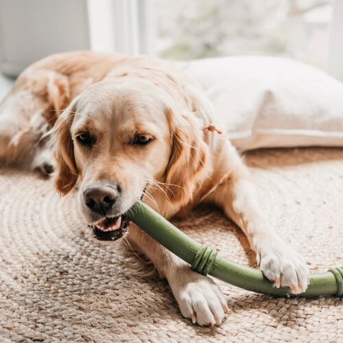 Beeztees Sumo Fit Stick 2 Beeztees Sumo Fit Stick – Bild 2