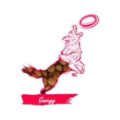 Calibra Dog Expert Nutrition Energy -Hochwertiges Geschäft Für Heimtierbedarf calibra dog expert nutrition energy 163534 0500 none