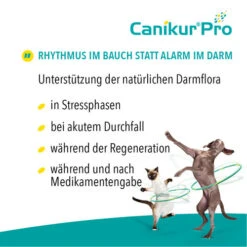 Canikur® Pro Diät-Ergänzungsfuttermittel Für Hunde -Hochwertiges Geschäft Für Heimtierbedarf canikur pro 213692 0500 none