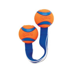 Chuckit! Ultra Duo Tug -Hochwertiges Geschäft Für Heimtierbedarf chuckit ultra duo tug 122951 0500 none