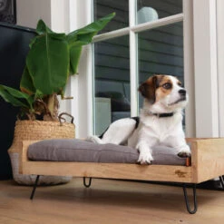 Designed By Lotte Hundebett Turana -Hochwertiges Geschäft Für Heimtierbedarf designed by lotte ligmand turana 170032 0500 none