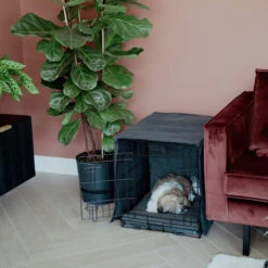 District 70 Sherpa Liegematte 17 District 70 Sherpa Liegematte -Hochwertiges Geschäft Für Heimtierbedarf district 70 sherpa bench mat 191723 0500 none