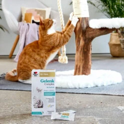 Doppelherz Gelenk Complex Für Katzen 12 Doppelherz Gelenk Complex Für Katzen -Hochwertiges Geschäft Für Heimtierbedarf doppelherz gelenk complex fuer katzen 195053 0500 none