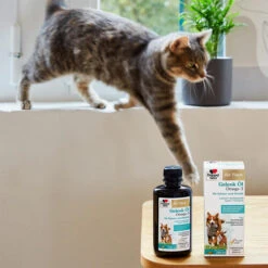 Doppelherz Gelenk Öl Omega-3 Für Katzen Und Hunde -Hochwertiges Geschäft Für Heimtierbedarf doppelherz gelenk oel fuer katzen hunde 195062 0500 none