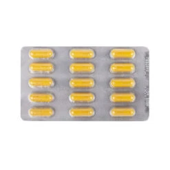 Dr. Ann's Mobility Support Plus -Hochwertiges Geschäft Für Heimtierbedarf dr anns mobility support plus 209075 0500 none