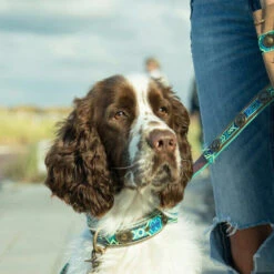 DWAM Halsband Boho Juan -Hochwertiges Geschäft Für Heimtierbedarf dwam halsband boho juan 133658 0500 none