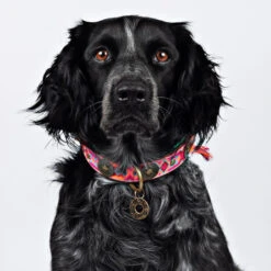 DWAM Halsband Boho Rosa -Hochwertiges Geschäft Für Heimtierbedarf dwam halsband boho rosa 133649 0500 none