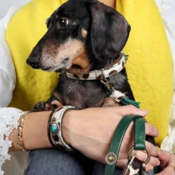 DWAM Halsband Ivy -Hochwertiges Geschäft Für Heimtierbedarf dwam halsband ivy 180688 0500 none