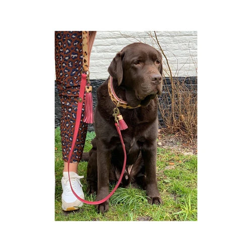 DWAM Halsband Lou Lou 4 DWAM Halsband Lou Lou – Bild 4