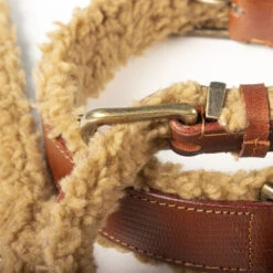 DWAM Halsband Teddy -Hochwertiges Geschäft Für Heimtierbedarf dwam halsband teddy 189206 0500 none