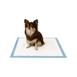 Easypets Trainingpads -Hochwertiges Geschäft Für Heimtierbedarf easypets trainingspads 184186 0500 none