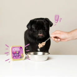 Edgard & Cooper Adult - Wild & Ente - Schälchen -Hochwertiges Geschäft Für Heimtierbedarf edgard cooper adult wild eend kuipje 168648 0500 none