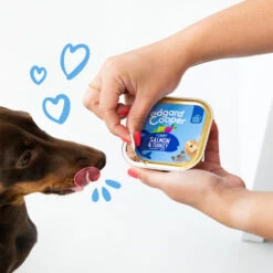 Edgard & Cooper Adult - Lachs Und Truthahn - Schale 8 Edgard & Cooper Adult - Lachs Und Truthahn - Schale -Hochwertiges Geschäft Für Heimtierbedarf edgard cooper adult zalm kalkoen kuipje 208616 0500 none