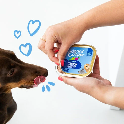 Edgard & Cooper Adult - Lachs Und Truthahn - Schale 3 Edgard & Cooper Adult - Lachs Und Truthahn - Schale – Bild 3