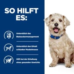 Hill's Prescription Diet W/d Diabetes Care - Canine -Hochwertiges Geschäft Für Heimtierbedarf hills prescription diet wd diabetes care canine 218175 0500 none