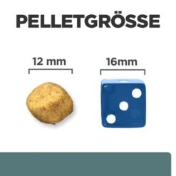 Hill's Prescription Diet W/d Diabetes Care - Canine -Hochwertiges Geschäft Für Heimtierbedarf hills prescription diet wd diabetes care canine 218176 0500 none