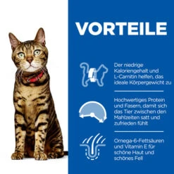 Hill's Science Plan - Feline Adult - Tuna Light -Hochwertiges Geschäft Für Heimtierbedarf hills science plan feline adult light 218363 0500 none