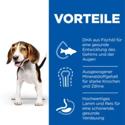 Hill's Science Plan - Medium Puppy -Hochwertiges Geschäft Für Heimtierbedarf hills science plan puppy medium lam rijst 218477 0500 none