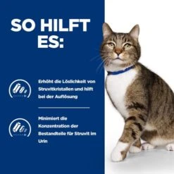 Hill's S/d - Urinary Care - Prescription Diet - Feline -Hochwertiges Geschäft Für Heimtierbedarf hills sd urinary care prescription diet feline 218040 0500 none