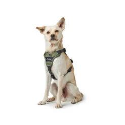 Hunter Geschirr Divo Dunkelblau/Grau 11 Hunter Geschirr Divo Dunkelblau/Grau -Hochwertiges Geschäft Für Heimtierbedarf hunter harnas divo donkerblauwgrijs 166891 0500 none