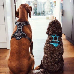 Hunter Geschirr Divo Dunkelblau/Grau 13 Hunter Geschirr Divo Dunkelblau/Grau -Hochwertiges Geschäft Für Heimtierbedarf hunter harnas divo donkerblauwgrijs 166906 0500 none