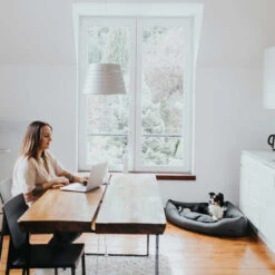 Hunter Eckkorb Livingstone - Grau -Hochwertiges Geschäft Für Heimtierbedarf hunter hoekmand livingstone grijs 175903 0500 none