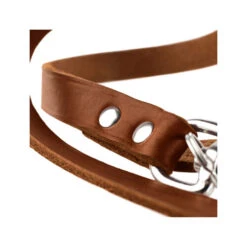 Hunter Trainingsleine - Braun 7 Hunter Trainingsleine - Braun -Hochwertiges Geschäft Für Heimtierbedarf hunter trainingsriem bruin 175345 0500 none