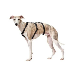 Hunter Vario Rapid Sicherheitsgeschirr - Schwarz -Hochwertiges Geschäft Für Heimtierbedarf hunter vario rapid veiligheidsharnas zwart 169501 0500 none