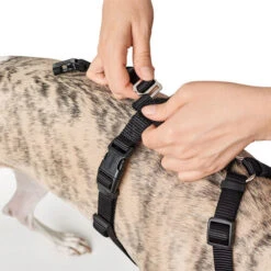 Hunter Vario Rapid Sicherheitsgeschirr - Schwarz -Hochwertiges Geschäft Für Heimtierbedarf hunter vario rapid veiligheidsharnas zwart 169504 0500 none