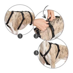 Hunter Vario Rapid Sicherheitsgeschirr - Schwarz -Hochwertiges Geschäft Für Heimtierbedarf hunter vario rapid veiligheidsharnas zwart 169510 0500 none