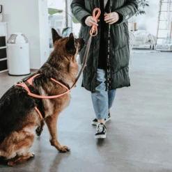 Hunter Sicherheitsgeschirr Maldon 20 Hunter Sicherheitsgeschirr Maldon -Hochwertiges Geschäft Für Heimtierbedarf hunter veiligheidsharnas maldon 221557 0500 none