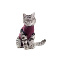 Jacketz Medical Body Suit Für Katzen -Hochwertiges Geschäft Für Heimtierbedarf jacketz medical body suit kat 154129 0500 none