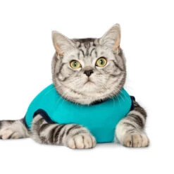 Jacketz Medical Body Suit Für Katzen -Hochwertiges Geschäft Für Heimtierbedarf jacketz medical body suit kat 209783 0500 none