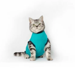 Jacketz Medical Body Suit Für Katzen -Hochwertiges Geschäft Für Heimtierbedarf jacketz medical body suit kat 209789 0500 none
