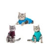 Jacketz Medical Body Suit Für Katzen