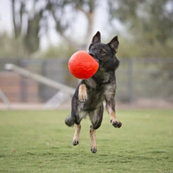 Jolly Soccer Ball -Hochwertiges Geschäft Für Heimtierbedarf jolly soccer ball 162241 0500 none