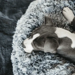 Kentucky Dogwear - Comfort Donut-Hundekorb -Hochwertiges Geschäft Für Heimtierbedarf kentucky dogwear comfort donut hondenmand 219723 0500 none