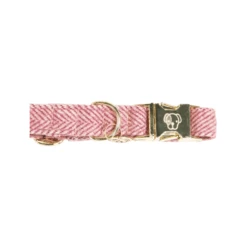 Kentucky Dogwear Hundehalsband Wool -Hochwertiges Geschäft Für Heimtierbedarf kentucky dogwear hondenhalsband wool 219709 0500 none