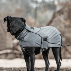 Kentucky Dogwear Soft Rubber Hundehalsband -Hochwertiges Geschäft Für Heimtierbedarf kentucky dogwear soft rubber hondenhalsband 219265 0500 none