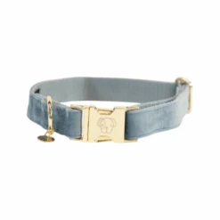 Kentucky Dogwear Velvet Hundehalsband -Hochwertiges Geschäft Für Heimtierbedarf kentucky dogwear velvet hondenhalsband 219232 0500 none
