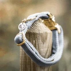 Kentucky Dogwear Velvet Hundehalsband -Hochwertiges Geschäft Für Heimtierbedarf kentucky dogwear velvet hondenhalsband 219236 0500 none