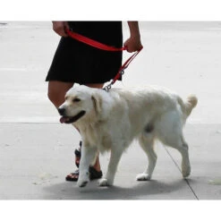 KONG Adjustable Leash -Hochwertiges Geschäft Für Heimtierbedarf kong adjustable leash zwart 176941 0500 none